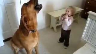 The dog takes pleasure in singing with a little girl, look at them it is cute