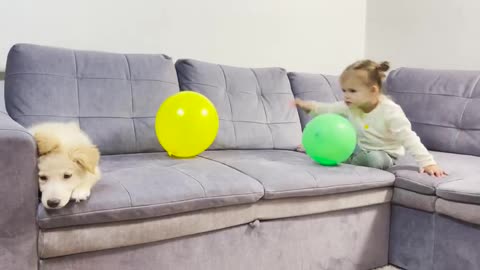 Funny_Baby_Reaction_to_a_Puppy_Running_Madly_on_the_Couch