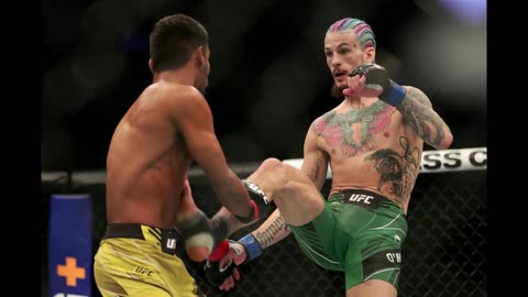 Sean O'Malley Destroys Raulian Paiva in Round 1 at UFC 269 | Insighful Globe
