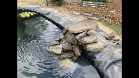 Food Forest Pond