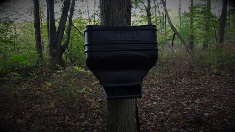 INEXPENSIVE Deer Feeder - UNDER $20!