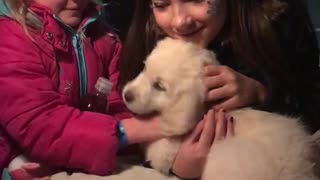 Papá sorprende a sus hijas con un cachorro en Navidad