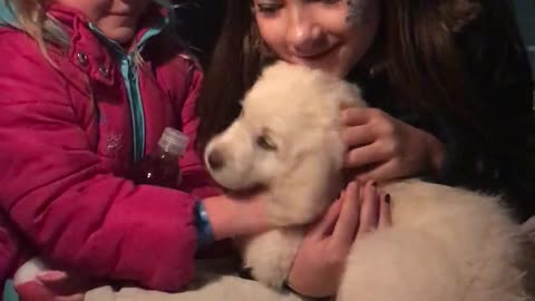 Papá sorprende a sus hijas con un cachorro en Navidad