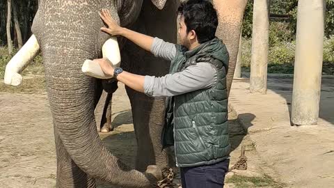 wonderful moment with elephants