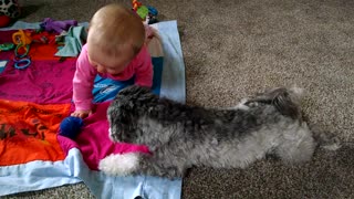 Baby and puppy adorably fight over ball