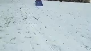 Sledding is fun no matter who you are!