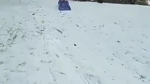 Sledding is fun no matter who you are!