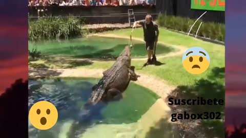 😱Giant crocodile!!! almost ripped his hand off😯😮