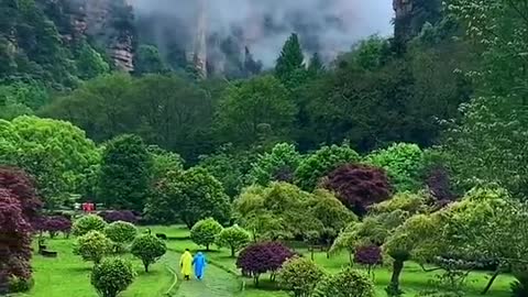 Beautiful nature relaxing 2021- Best nature video hd