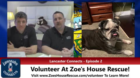 English Bulldog Needs Help Finding Fur-Ever Home! - Pet Of The Week - Lancaster Connects, Ep. 2