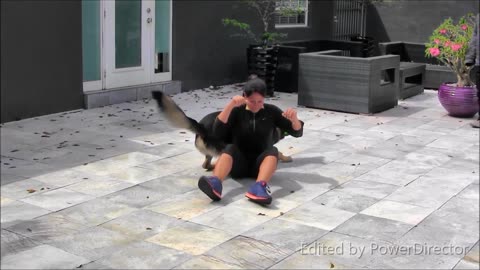 How To Training Dog Step By Step || Guard D
