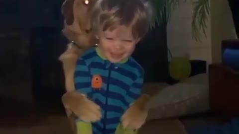 Как сильно собака любит своего друга