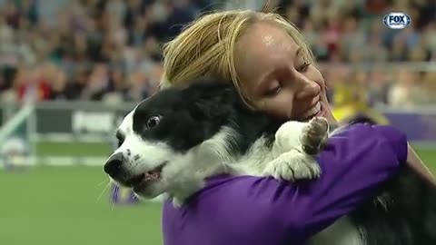 P!nk the border collie wins back-to-back titles at the 2019 WKC Masters Agility | FOX SPORTS