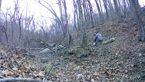 Topping 3 trees and nearing the end of the powerline path.