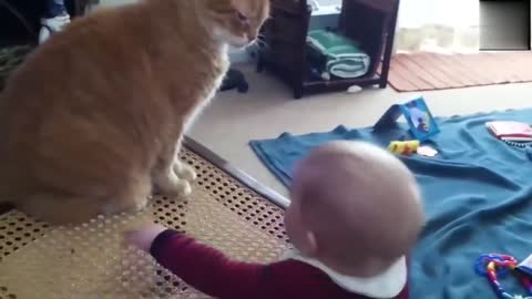 Friendship of children and cute cats, beautiful and funny clips