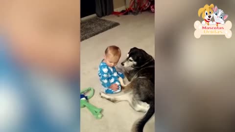 Funny DOGS And BABIES PLAYING TOGETHER