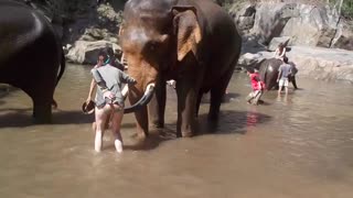 Elephlying in Thailand