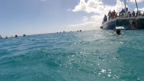 Golden Eagle Catamaran - Snorkeling Adventure with Sophia and Deb RCI Wonder of the Seas