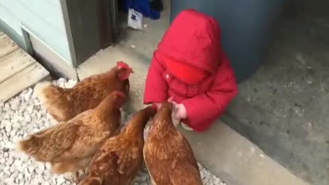 Funny baby with chicken