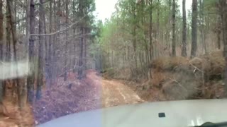 Driving the back roads of Alabama