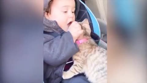 This Cat and Kids Videos Will Make Your Days Most Funny And Cute Movement’s