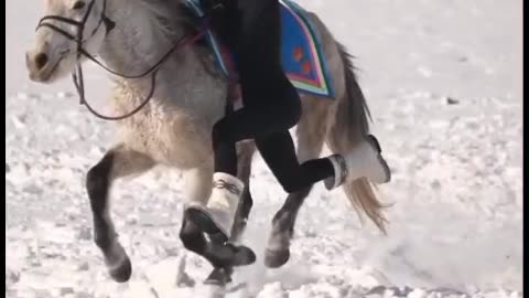 Horse riding, #horse #horserider #animallover