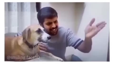 Singing dog 🎶 🎵 || Funny Video 🤣🤣