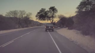 Tesla Model Y camera catches deer strike