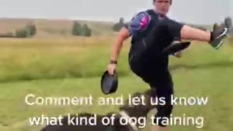 Perfect Dog Training _ Best dog training in the world