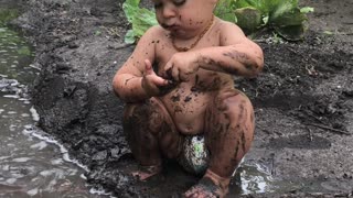 Digging Through the Dirt for a Snack