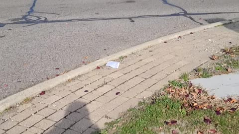 Peaceful Protest of FOX News, Southfield, MI, November 14, 2020