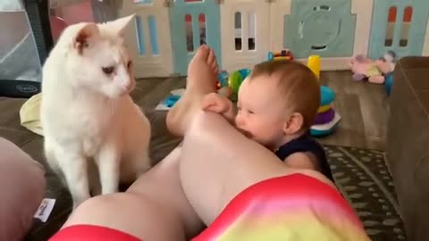 Baby playing with pussy cat - Fun with my cat - Cat's Funny video - New Funny kid's video