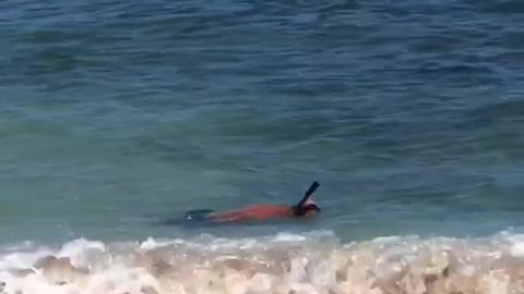 Man snorkeling on beach wears black shorts