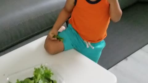 2 year old eating organic spinach and lettuce. Teach your kids to eat healthy.