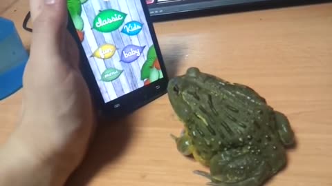 Frog playing ANT crush