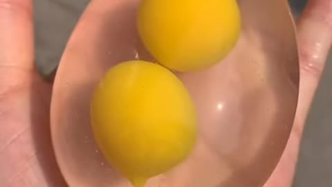 flexsible egg