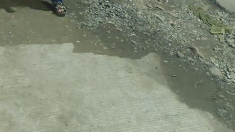 small boy playing football with cricket ball