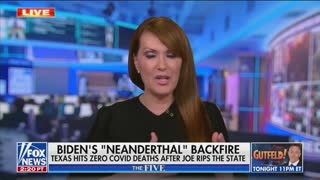 Dagen McDowell mocks Joe Biden