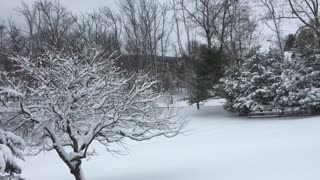 Another short clip after the Snow storm in New England