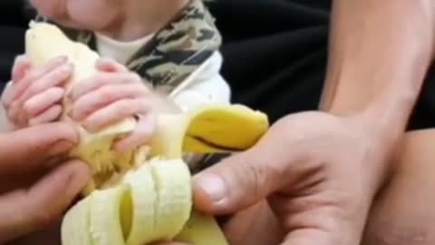Banana vs manki funny video