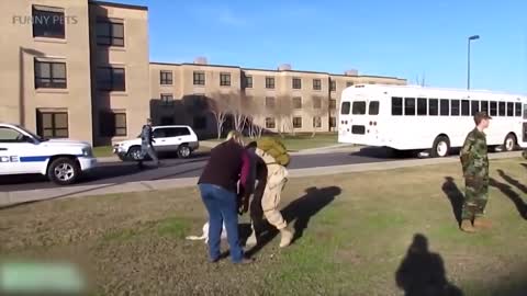 Dogs Meets their Owners After A Very Long Time.