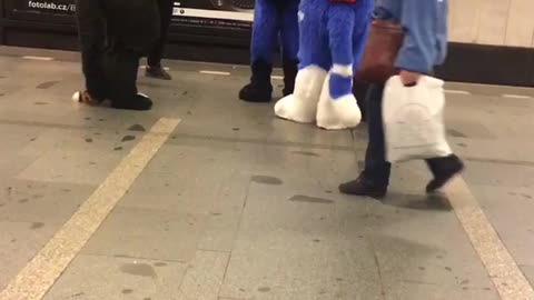 Blue fox costume subway station peekaboo