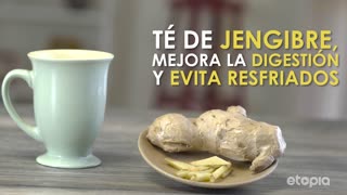 ETOPIA_NUTRICION_086_SPA.mp4