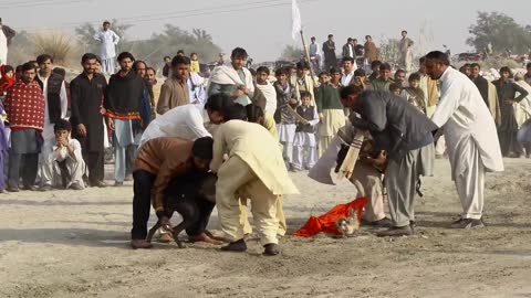 Latest Pakistani Dog Race with amazing slomo reply action 2021