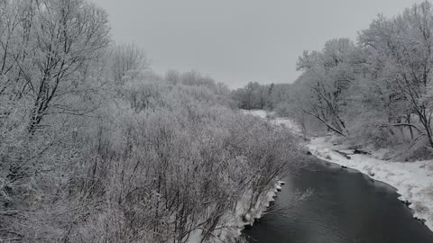 Winter's Day In Wisconsin