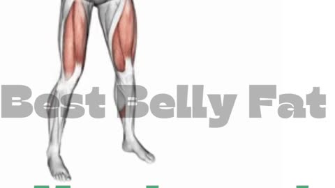 Female best lose belly fat