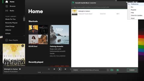 How to Get Spotify Mini Player(2020)