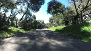 Cycling downhill, Warrington Rd., Santa Rosa, CA (Sonoma County)
