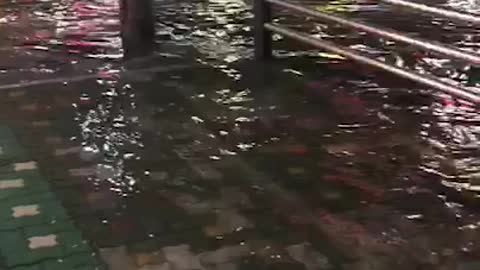 Flooding due to typhoon