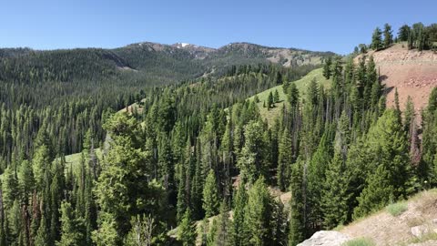 Idaho, Green and Beautiful